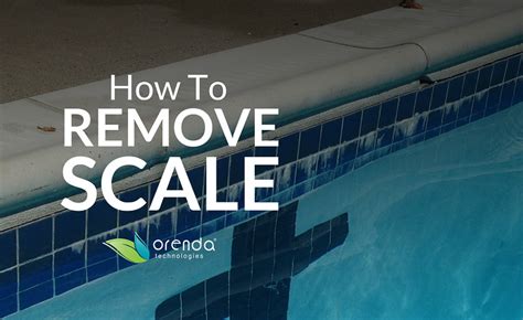 How to Soften and Remove Scale