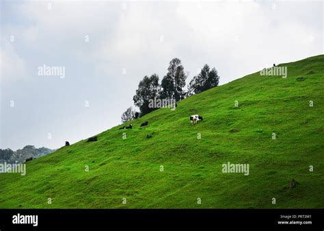 Rural landscapes in western Rwanda Stock Photo - Alamy