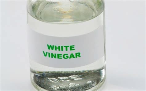 Is Vinegar Harmful to Septic Tanks? | ThriftyFun