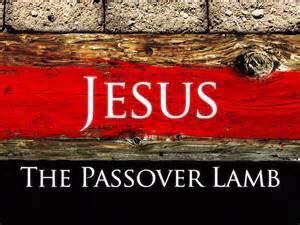 Why Catholics Must Have Bible A.D.D. Part 4― Jesus as the New Passover Lamb - The Simple Catholic