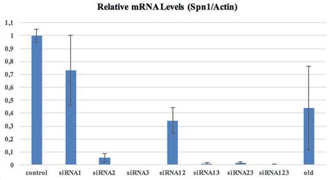 qPCR results after siRNA silencing (control: Cells without siRNA... | Download Scientific Diagram