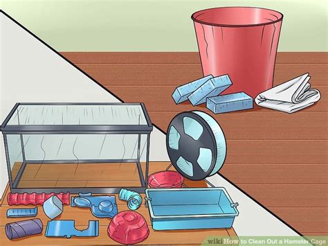 How to Clean Out a Hamster Cage: 12 Steps (with Pictures)