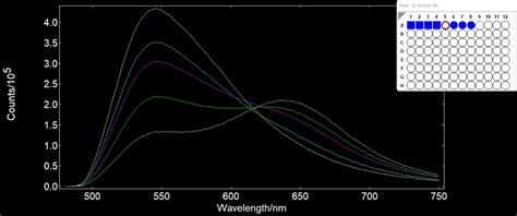 Ratiometric analysis with a fluorescence plate reader | Spectroscopy Europe/World