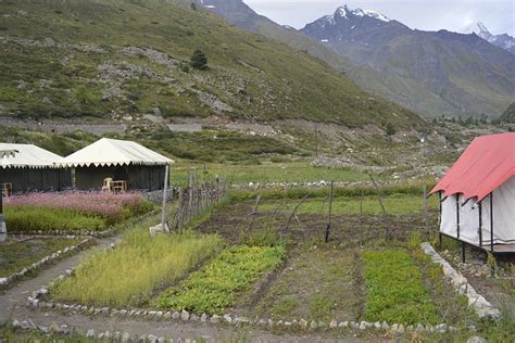 PP CAMP (Chitkul, Inde) - tarifs 2024 mis à jour et avis camping