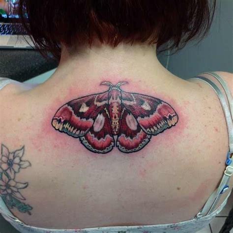 Semi-realistic atlas moth (WIP) done by me @ XTC Tattoo - Flint, MI : tattoos