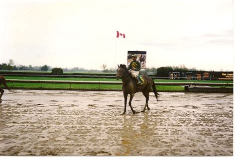 Keeneland Race Track: The race is on! - Race Horses Photo (4310579 ...