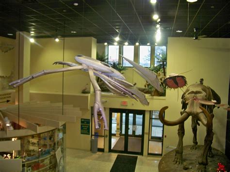 Domain of the C-Rex: Burpee Museum Pictures