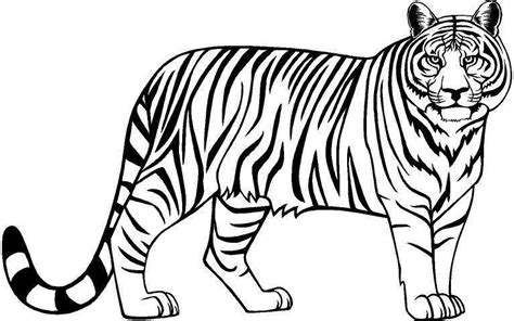 Tiger clip arts images free download black and white background – Clipartix