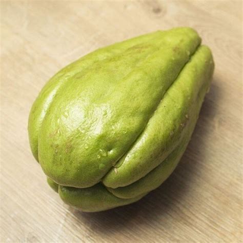 Chayote (Sechium edule) Plants - Alsagarden