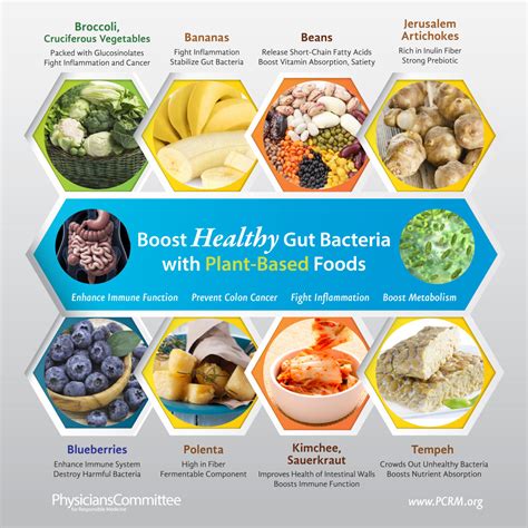 Boost Healthy Gut Bacteria With Plant Based Foods Pictures, Photos, and ...