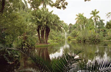 Sarasota Jungle Gardens | Sarasota Jungle Gardens | Flickr