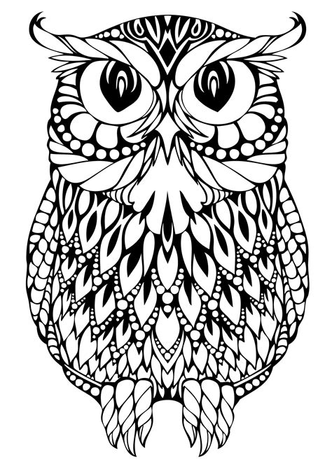 Owl Drawing Cute at GetDrawings | Free download