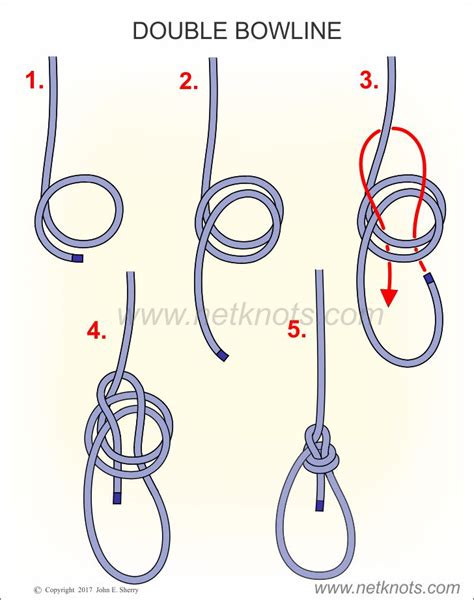 Double Bowline Knot animated and illustrated