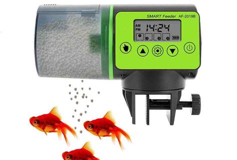 Best Automatic Fish Feeders in 2024 - The Aquarium Guide