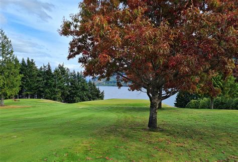 Queenstown Golf Club | A Slice of NZ Golf