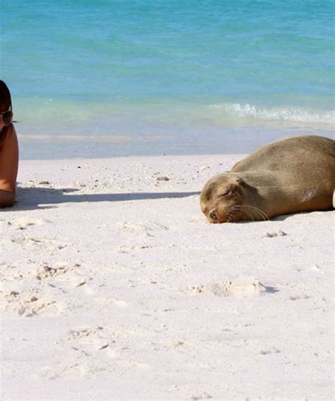 8-Day Galapagos Island Hopping (3 islands) - Nomadtrek Tour operator