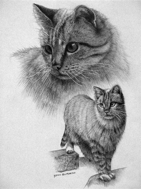 18+ Cat Drawings, Art Ideas, Sketches | Design Trends - Premium PSD, Vector Downloads