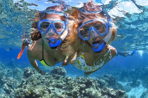 Great Barrier Reef Full Day Diving Tour from Cairns - Klook Australia