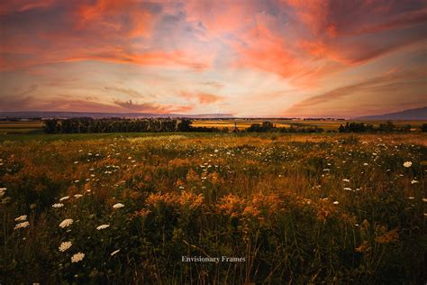 Fiery sunset : photographs