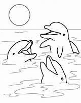Free Printable Dolphin Coloring Pages For Kids sketch template