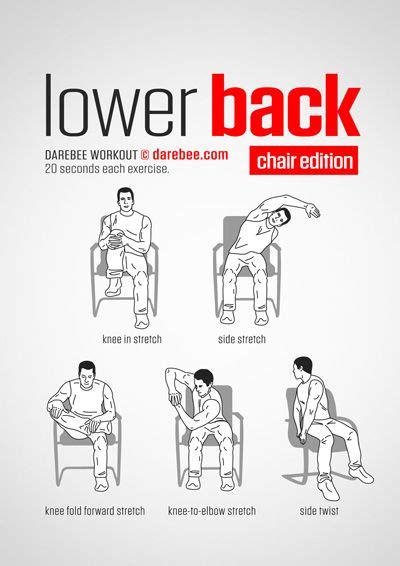 Elegant Chair Yoga Exercises For Lower Back Pain - Yoga x Poses