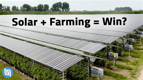 Solar Panels Plus Farming? Agrivoltaics Explained - Go IT