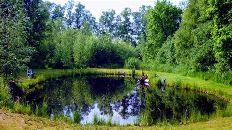 How to make a pond hold water naturally – Builders Villa