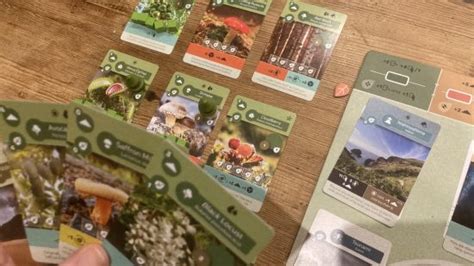 Earth board game review – growing together