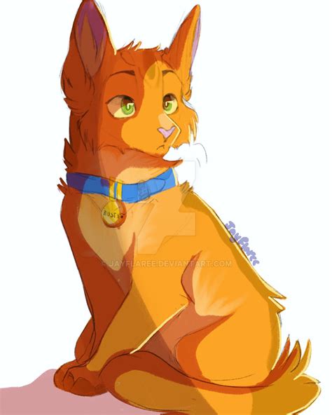 Rusty from Warrior Cats by jayflaree on DeviantArt