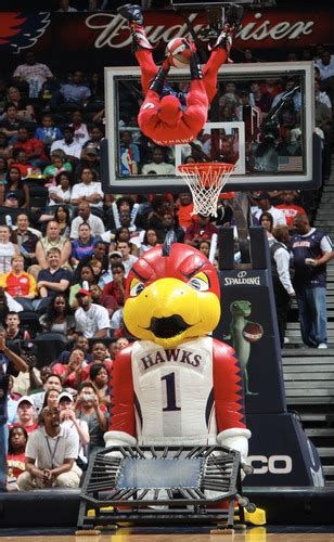 Images and Places, Pictures and Info: atlanta hawks mascot