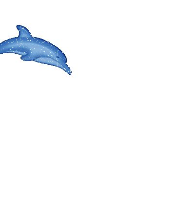 Dolphin Gif - ClipArt Best