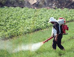 Agriculture: cause and victim of water pollution, but change is possible | Tierras y Aguas ...