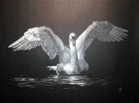 Swan in white charcoal on black paper by Crisbo on DeviantArt | Black ...