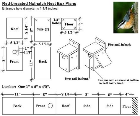 bird house for nuthatch | Bird house plans, Bird house kits, Bird houses