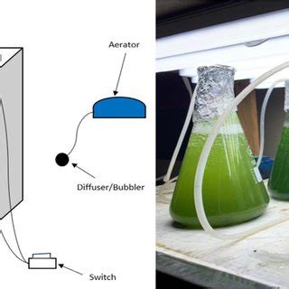 Experimental setup for microalgae cultivation | Download Scientific Diagram