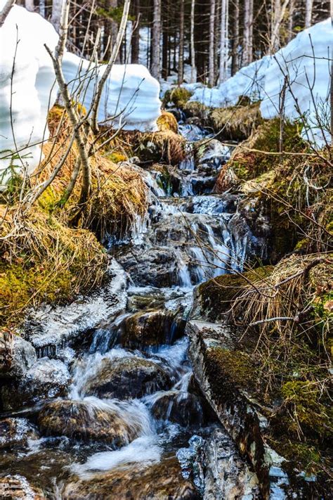 Trickling Water Over Moss Covered Rocks. Stock Image - Image of creek ...