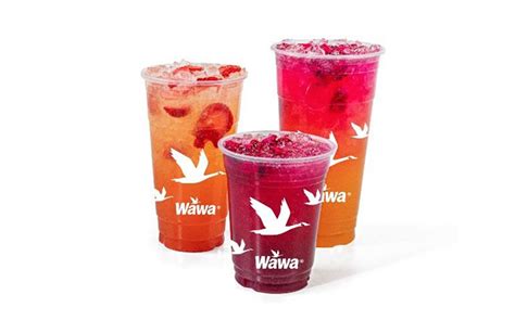 Wawa Expands Beverage Offer With Refreshers Launch - CStore Decisions