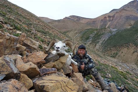 Dall Sheep Hunts - Northwest Territories Guide & Outfitters