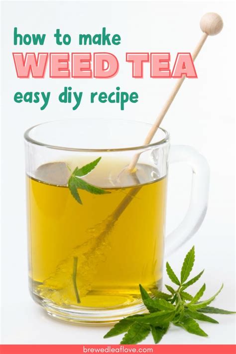 How to Make Weed Tea (Cannabis Tea Recipe) - Brewed Leaf Love