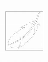 Feather Coloring Pages – Printable FREE sketch template