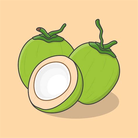 Premium Vector | Whole And Half Of Green Coconut Cartoon Vector ...