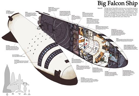 This imaginative drawing liked by Elon Musk reveals just how crazy SpaceX's first missions to ...