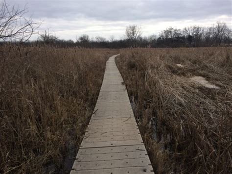 Best Hikes and Trails in Volo Bog State Natural Area | AllTrails