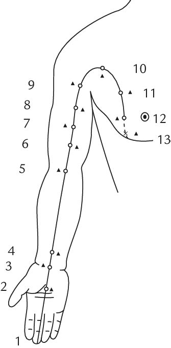 Position of measured points along the pericardium meridian, are the ...