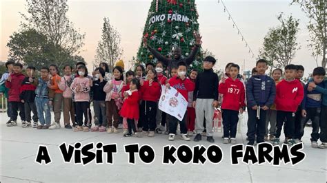 WINTER VISIT TO KOKO FARMS IN VIETNAM 🇻🇳 #tefl - YouTube