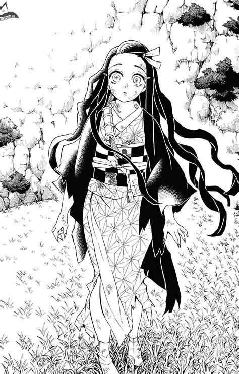 Nezuko vs le soleil : victoire de Nezuko | Anime demon, Slayer anime ...