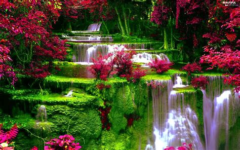 VEGETATION, waterfall, Flowers - Beautiful views wallpapers: 1920x1200