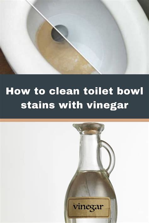 How to clean toilet bowl stains with vinegar – Artofit