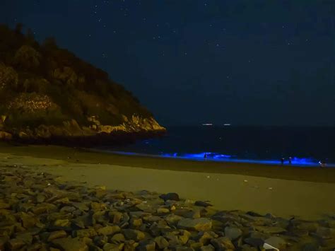 Coolest night beaches in India that glow in the dark! | Times of India ...