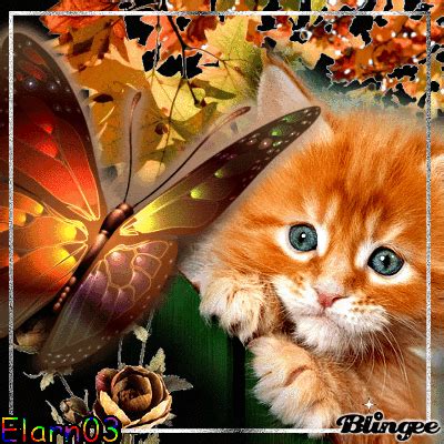 Kitten - Butterfly - Autumn Leaves Picture #125817325 | Blingee.com